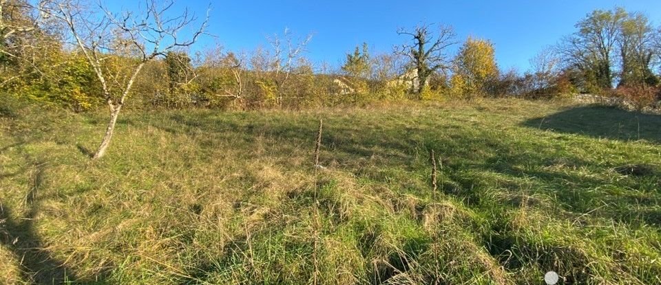 Terrain de 2 730 m² à Ruffieux (73310)