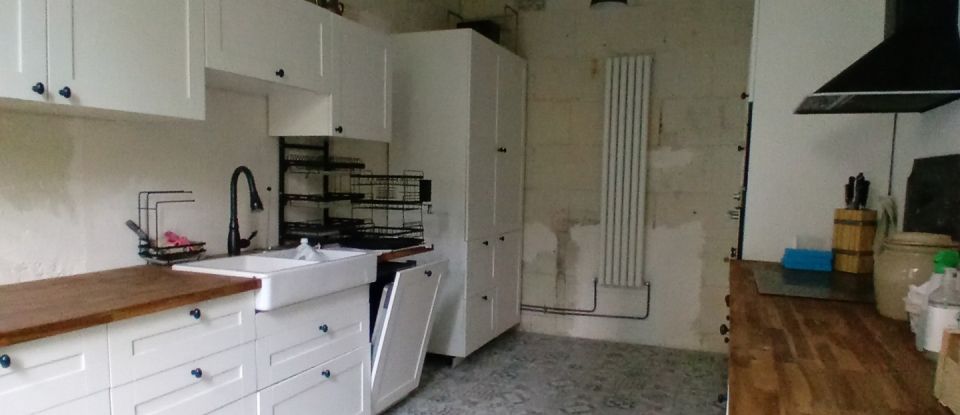 Immeuble de 377 m² à Saint-Aignan (41110)