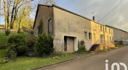 Maison de village 6 pièces de 160 m² à Val-de-Meuse (52140)