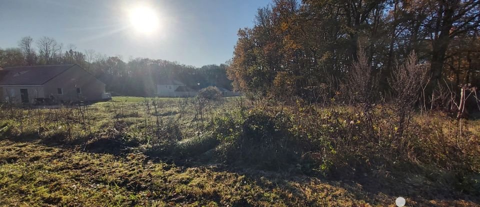 Terrain de 1 696 m² à Montacher-Villegardin (89150)