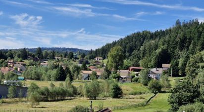 Terrain de 1 995 m² à Le Tholy (88530)