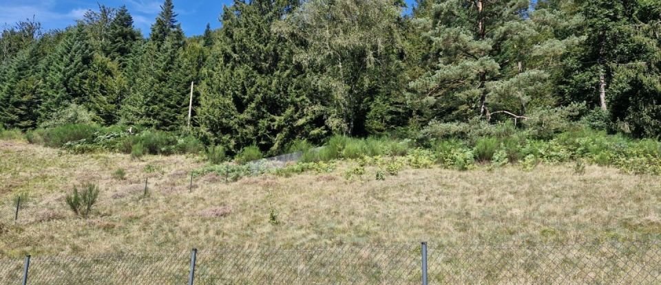 Land of 1,995 m² in Le Tholy (88530)