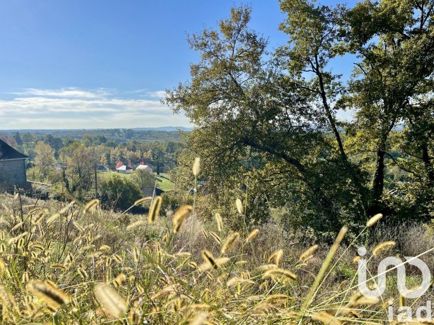 Terrain de 2 570 m² à Allassac (19240)