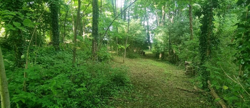 Land of 1,248 m² in Raucourt-et-Flaba (08450)