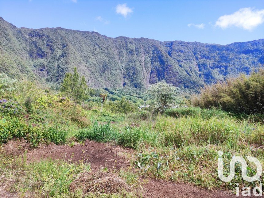 Terrain de 1 000 m² à La Plaine-des-Palmistes (97431)