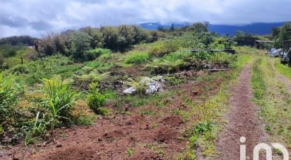 Terrain de 1 000 m² à La Plaine-des-Palmistes (97431)