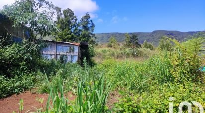 Terrain de 1 000 m² à La Plaine-des-Palmistes (97431)