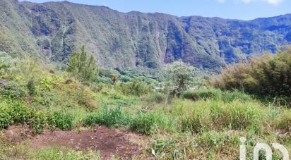 Terrain de 1 000 m² à La Plaine-des-Palmistes (97431)