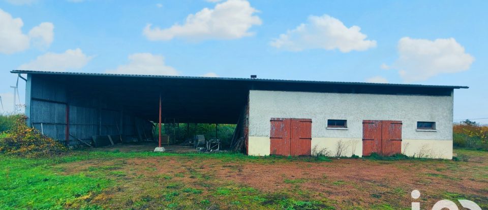 Maison traditionnelle 5 pièces de 76 m² à Lorcy (45490)