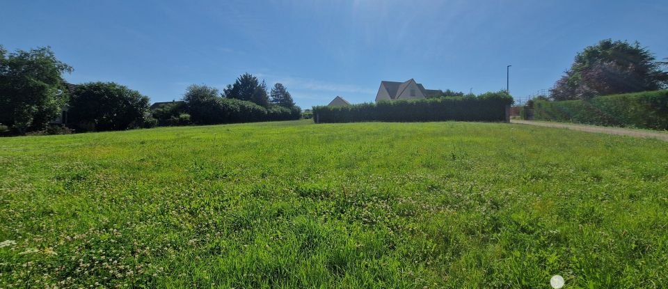 Terrain de 958 m² à Saint-Bris-le-Vineux (89530)