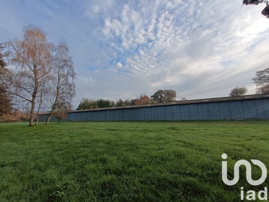 Terrain de 1 000 m² à Saint-Médard-sur-Ille (35250)