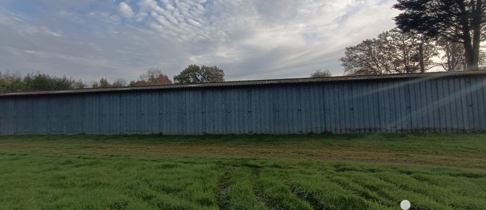 Terrain de 1 000 m² à Saint-Médard-sur-Ille (35250)