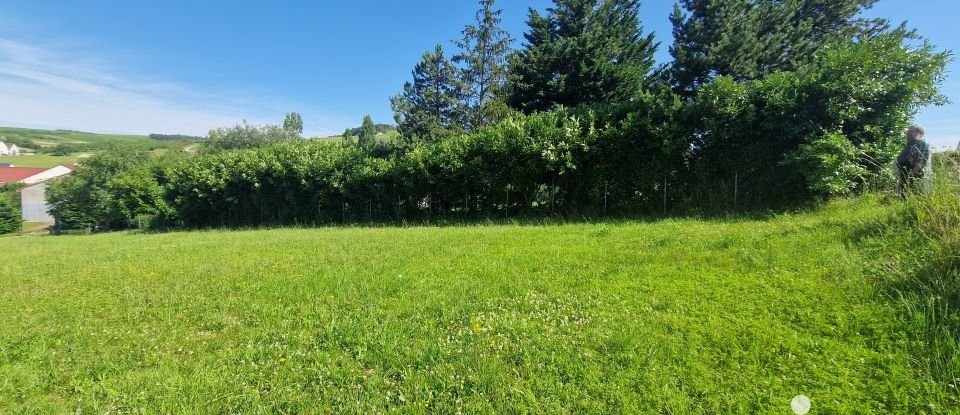 Land of 950 m² in Saint-Bris-le-Vineux (89530)