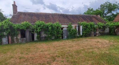 Longère 3 pièces de 100 m² à Sully-sur-Loire (45600)