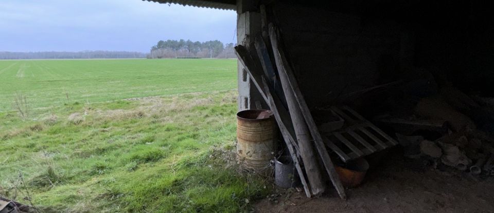 Longère 3 pièces de 100 m² à Sully-sur-Loire (45600)