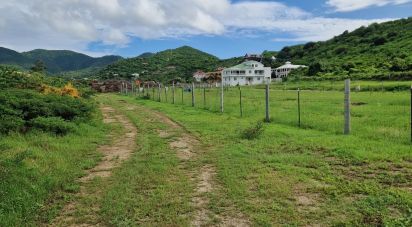 Terrain de 2 461 m² à Saint-Martin (97150)