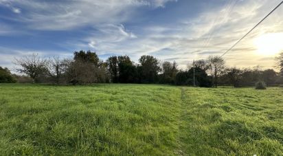 Terrain de 736 m² à Ambarès-et-Lagrave (33440)