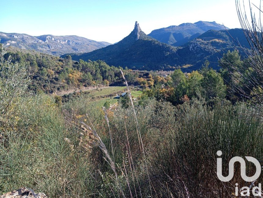 Land of 16,713 m² in Buis-les-Baronnies (26170)