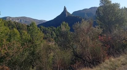 Land of 16,713 m² in Buis-les-Baronnies (26170)