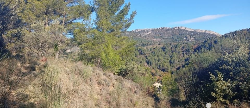 Land of 16,713 m² in Buis-les-Baronnies (26170)