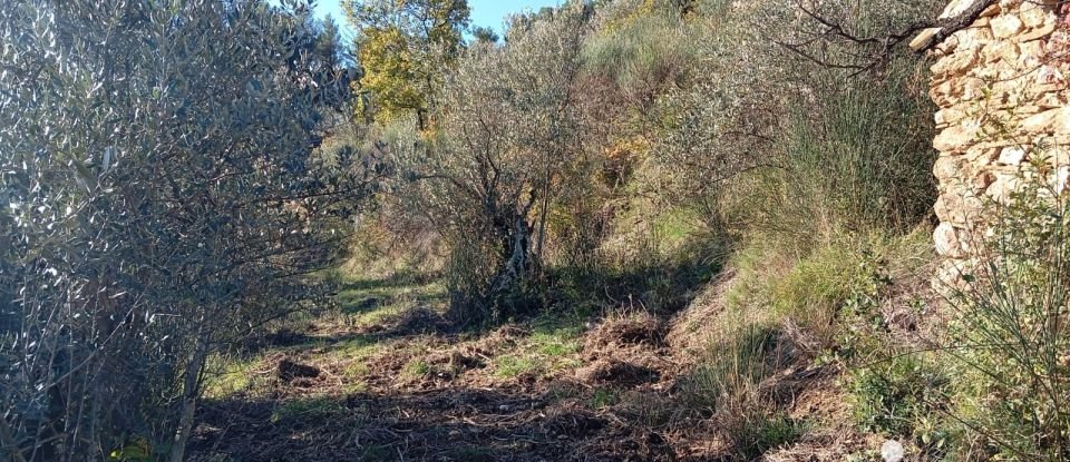 Land of 16,713 m² in Buis-les-Baronnies (26170)