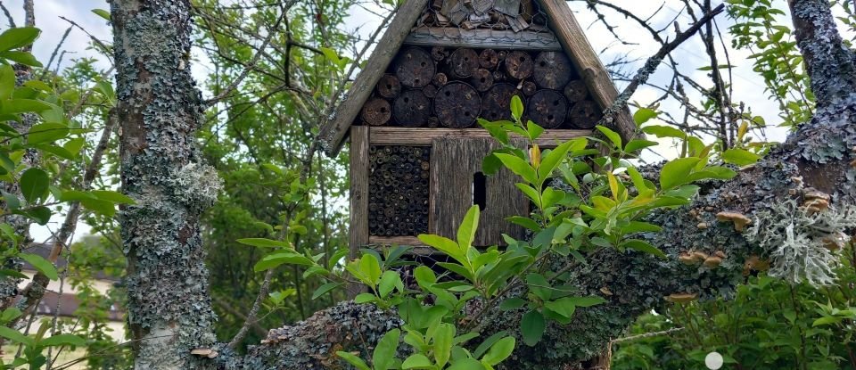 Maison traditionnelle 4 pièces de 90 m² à Châbons (38690)