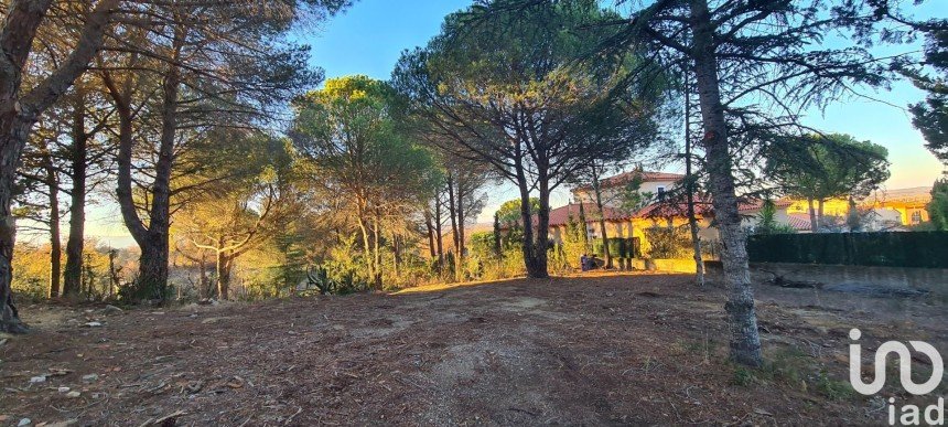 Terrain de 1 430 m² à Montesquieu-des-Albères (66740)