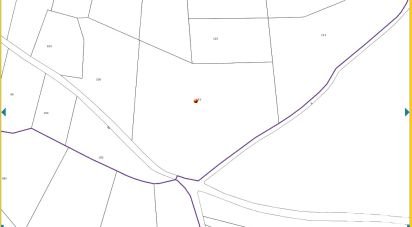 Agricultural land of 16,225 m² in Saint-Julien (83560)