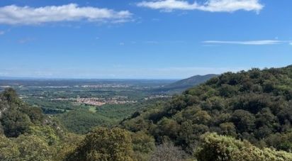 Traditional house 7 rooms of 200 m² in Céret (66400)