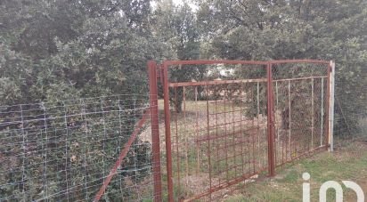 Truffle farm of 2,993 m² in Sainte-Cécile-les-Vignes (84290)