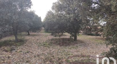 Truffle farm of 2,993 m² in Sainte-Cécile-les-Vignes (84290)