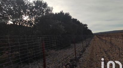 Truffle farm of 2,993 m² in Sainte-Cécile-les-Vignes (84290)