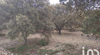 Truffle farm of 2,993 m² in Sainte-Cécile-les-Vignes (84290)