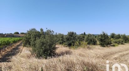 Terrain agricole de 6 160 m² à Sainte-Cécile-les-Vignes (84290)