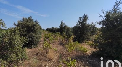 Terrain agricole de 6 160 m² à Sainte-Cécile-les-Vignes (84290)