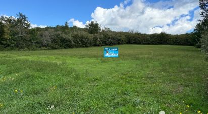 Terrain de 4 201 m² à Sarlat-la-Canéda (24200)