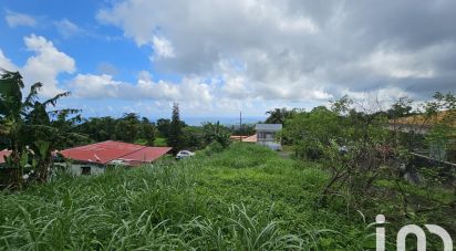 Terrain de 571 m² à L'Ajoupa-Bouillon (97216)