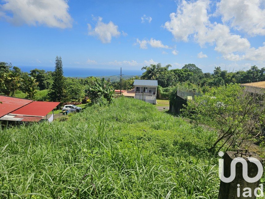 Terrain de 571 m² à L'Ajoupa-Bouillon (97216)