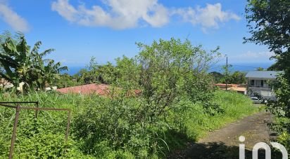 Terrain de 571 m² à L'Ajoupa-Bouillon (97216)