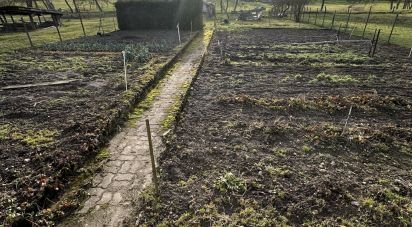 Maison traditionnelle 4 pièces de 148 m² à Saint-Menge (88170)