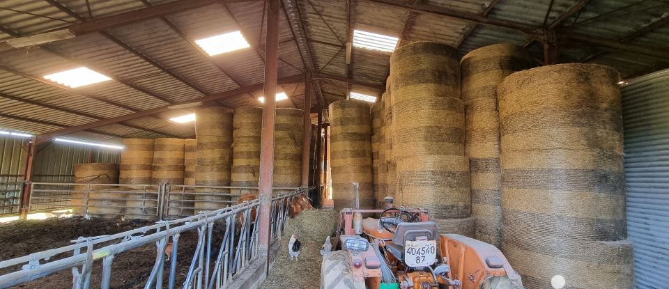 Ferme 5 pièces de 130 m² à La Porcherie (87380)