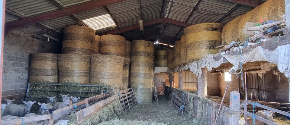 Ferme 5 pièces de 130 m² à La Porcherie (87380)