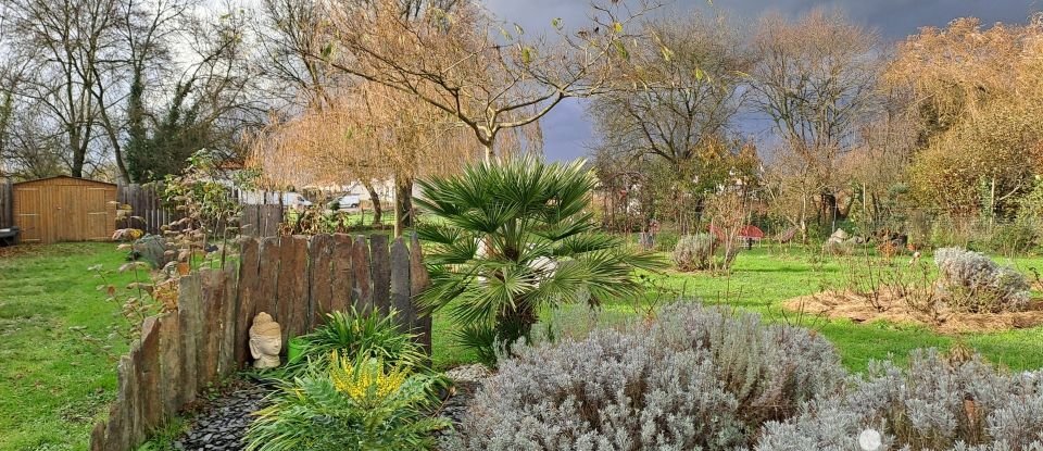 Maison d’architecte 6 pièces de 150 m² à Mauges-sur-Loire (49620)