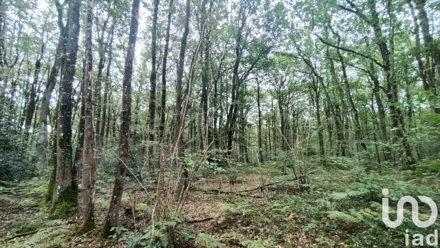 Terrain de 6 860 m² à BRISSAC LOIRE AUBANCE (49250)