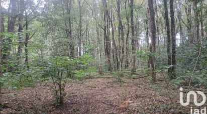 Terrain de 6 860 m² à BRISSAC LOIRE AUBANCE (49250)