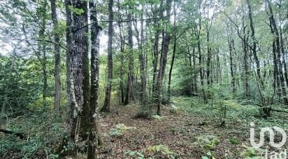 Terrain de 6 860 m² à BRISSAC LOIRE AUBANCE (49250)