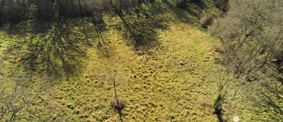 Terrain de 7 051 m² à Le Pêchereau (36200)