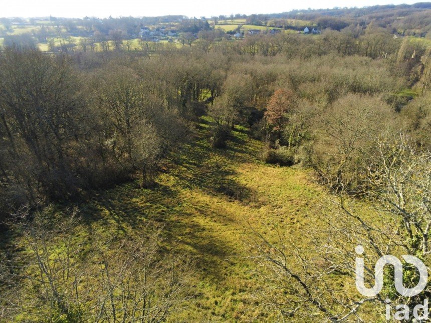 Terrain de 7 051 m² à Le Pêchereau (36200)