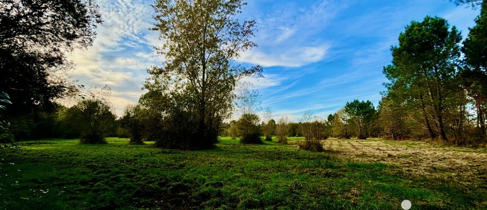 Traditional house 5 rooms of 176 m² in Pessac (33600)