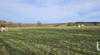 Terrain de 2 500 m² à Saint-Michel-de-Veisse (23480)